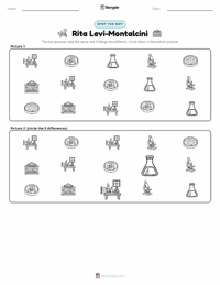 Rita Levi-Montalcini printable worksheet preview