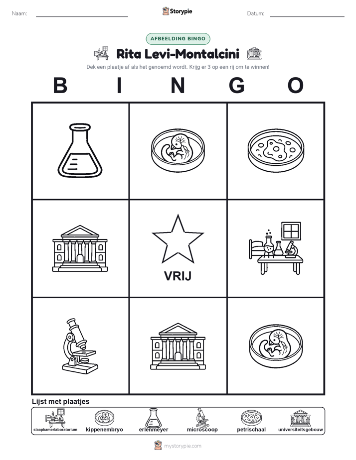 Afbeelding Bingo