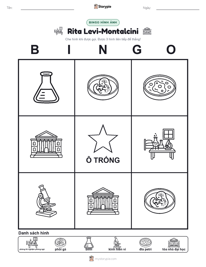 Bingo Hình Ảnh