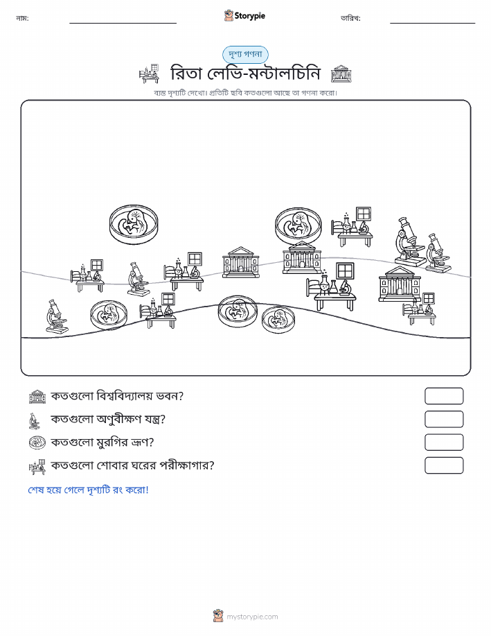 গণনা দৃশ্য