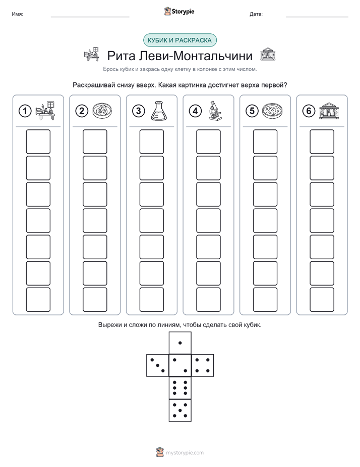 Катать и раскрашивать