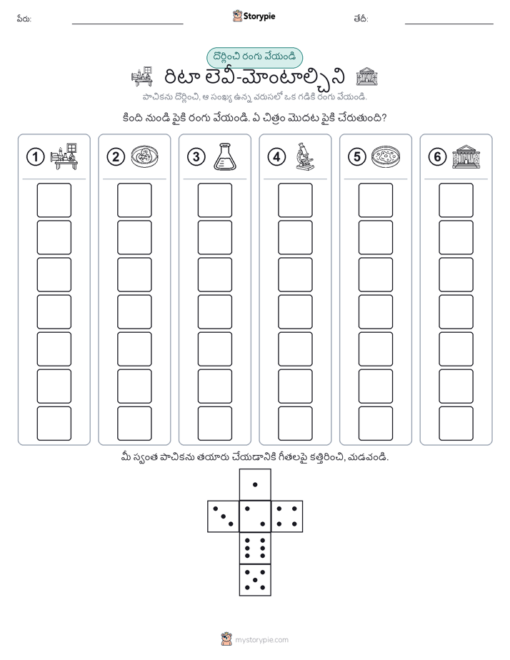 రోల్ & రంగు