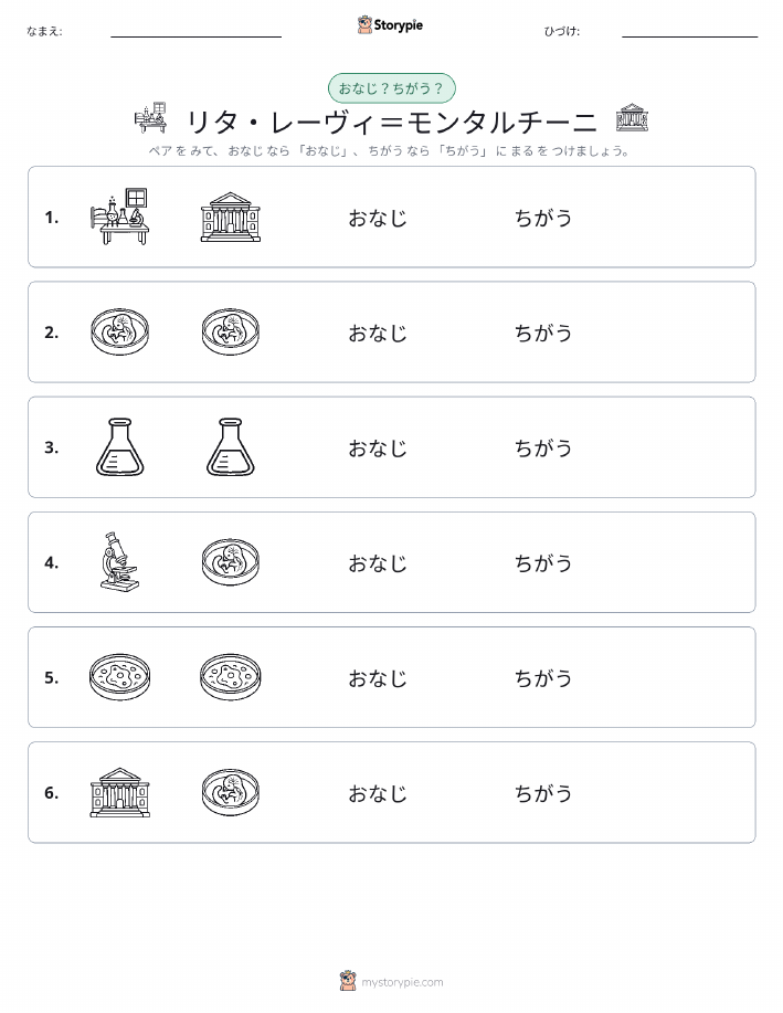 同じか違うか