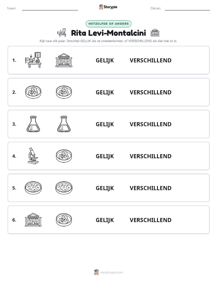 Zelfde of Verschillend