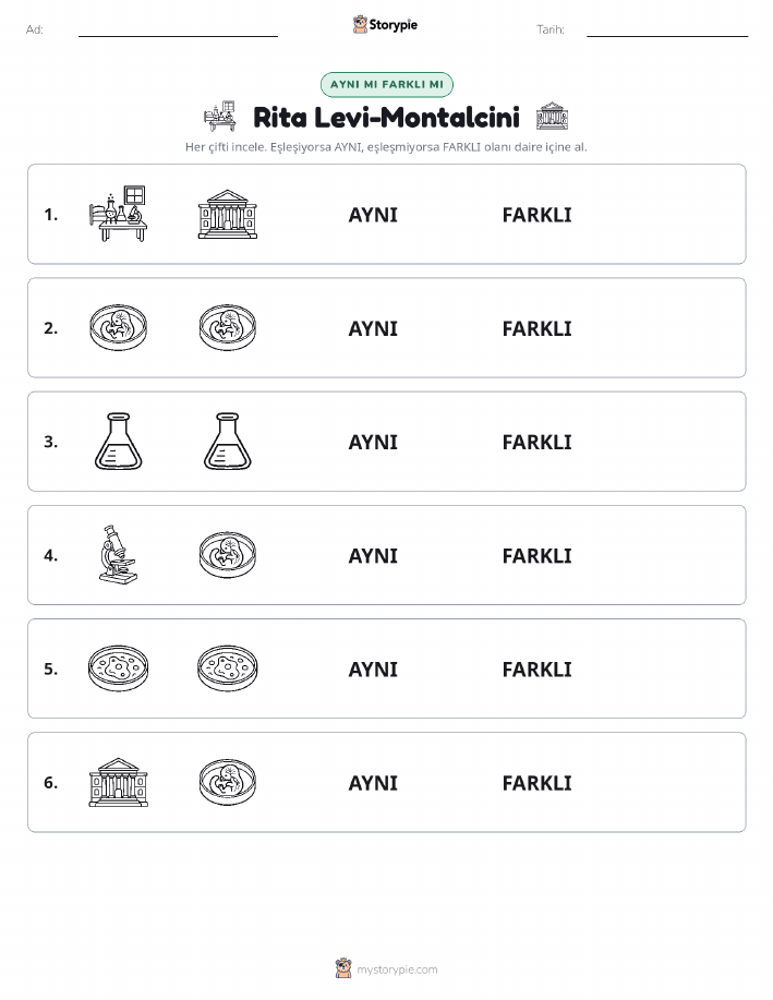Aynı mı Farklı mı