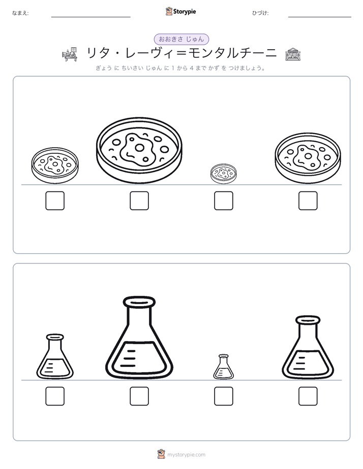 サイズ順