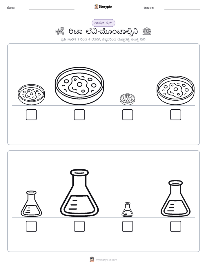 ಗಾತ್ರ ಕ್ರಮ