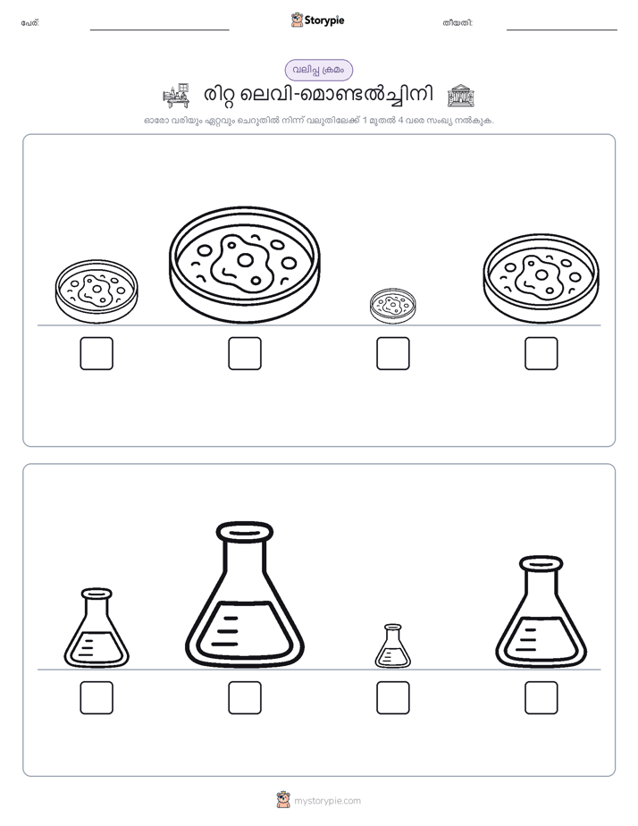 വലുപ്പം ക്രമം