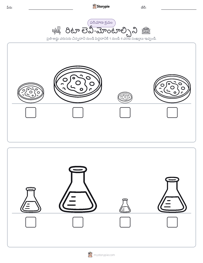పరిమాణం క్రమం