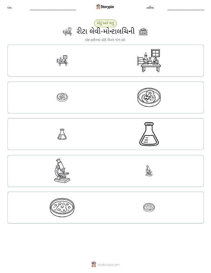 વર્ગીકરણ