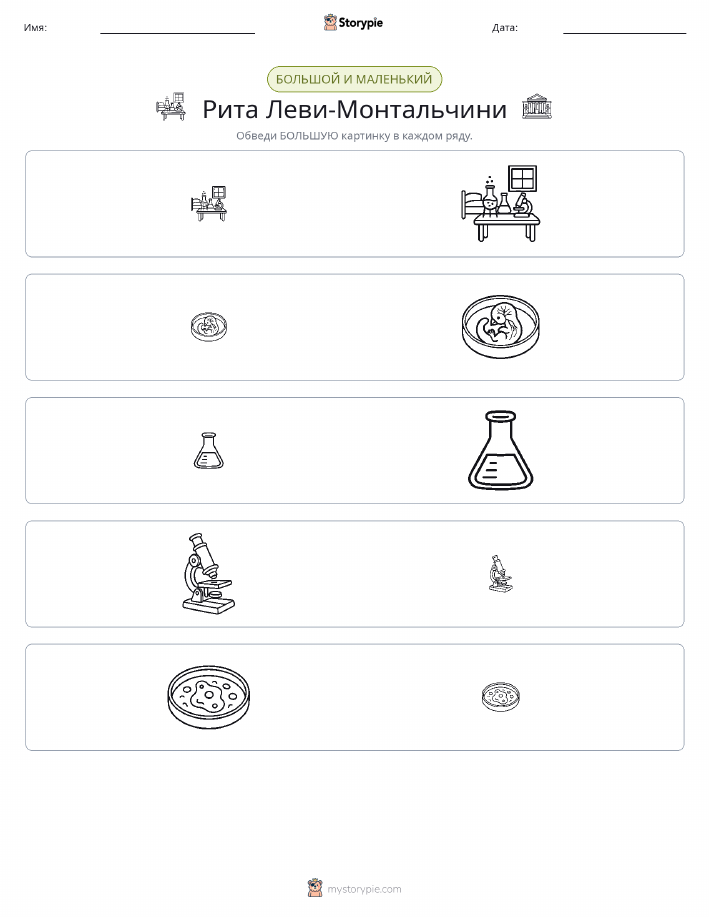Сортировка