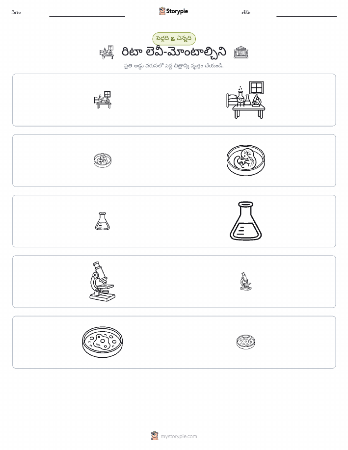 వర్గీకరణ