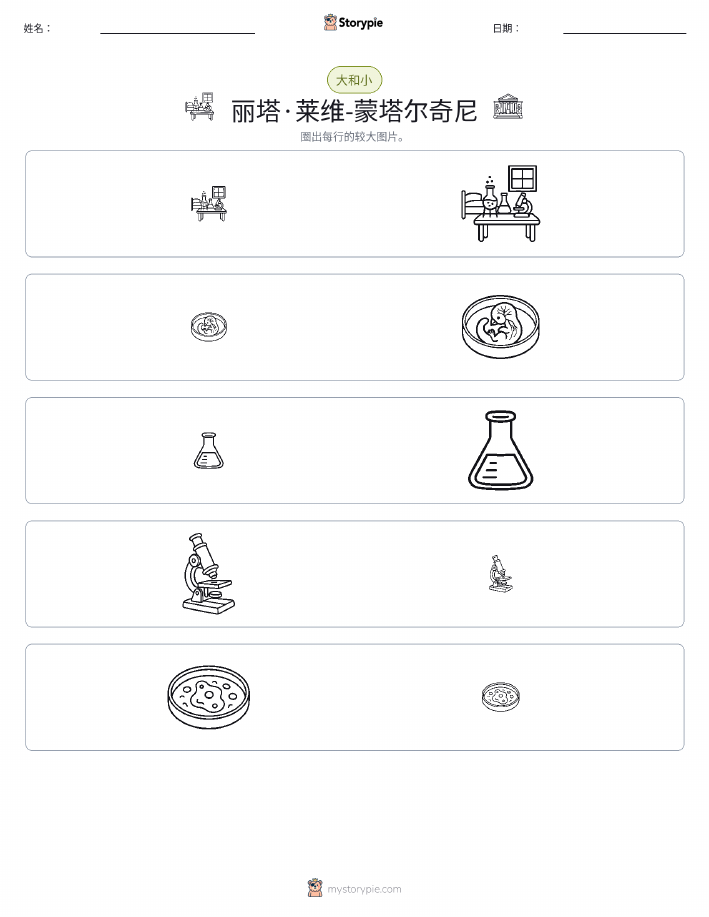 分类