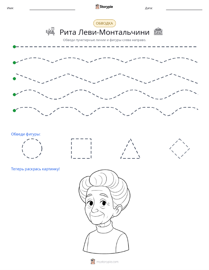 Обводка