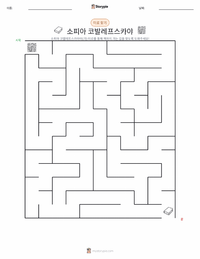 소피야 코발렙스카야 인쇄 가능한 워크시트 미리보기