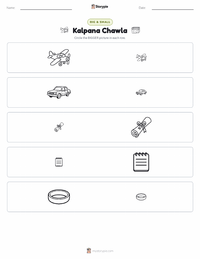 Kalpana Chawla printable worksheet preview