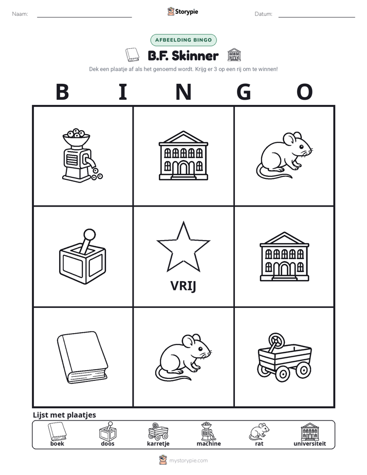 Afbeelding Bingo