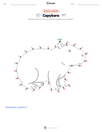 Aperçu de la feuille de travail imprimable Capybara