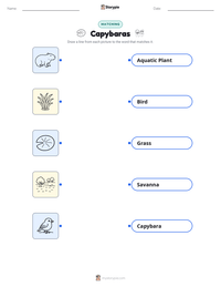 Capybaras printable worksheet for kids