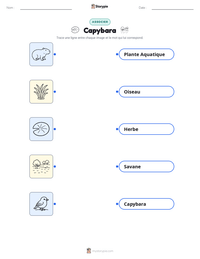 Feuille de travail imprimable Capybara pour les enfants