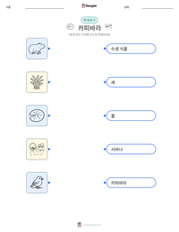 카피바라 인쇄 가능한 워크시트 미리보기