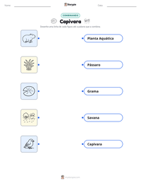 Folha de atividades imprimível Capivara para crianças