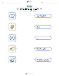 Tài liệu in sẵn Chuột lang nước cho trẻ em
