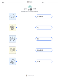 水豚 可打印工作表预览