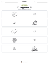 Capybaras printable worksheet preview