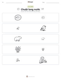 Xem trước tài liệu in sẵn Chuột lang nước