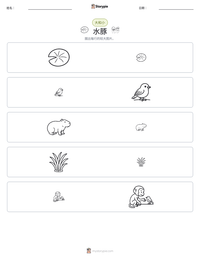 水豚 可打印工作表预览