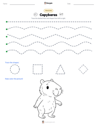 Capybaras printable worksheet preview