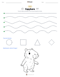 Aperçu de la feuille de travail imprimable Capybara