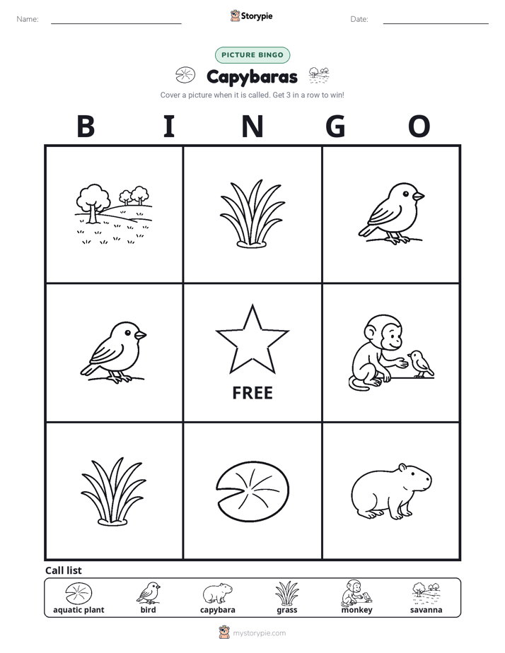 Picture Bingo