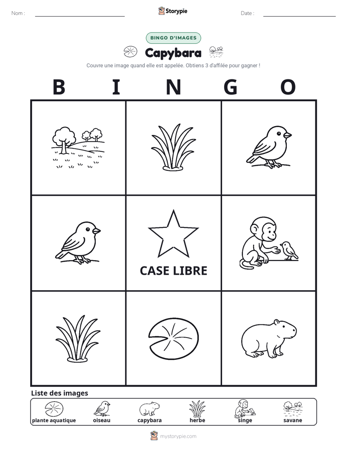 Bingo d'Images