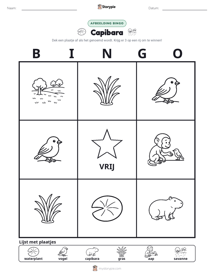 Afbeelding Bingo