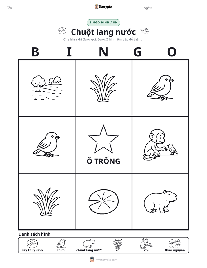 Bingo Hình Ảnh