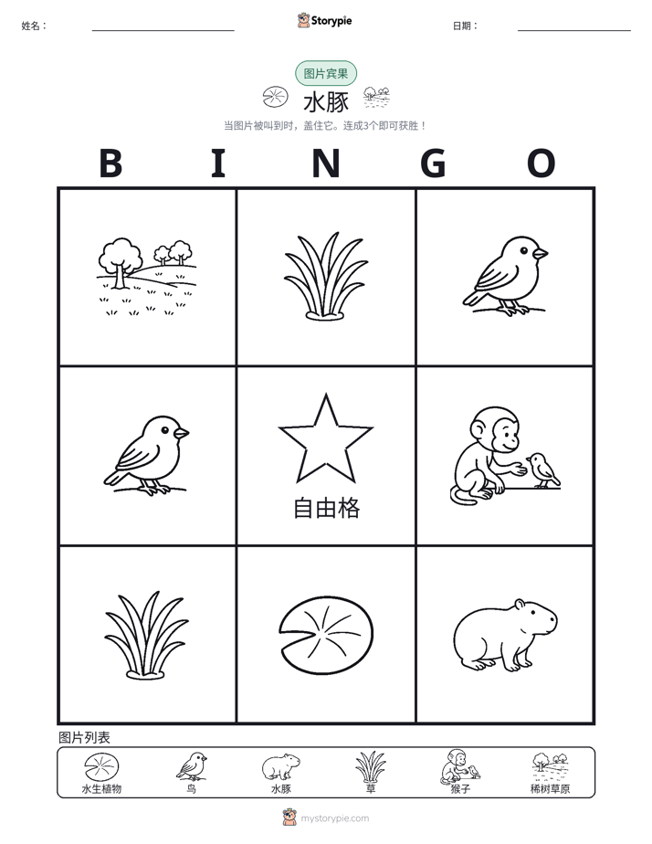 图片宾果