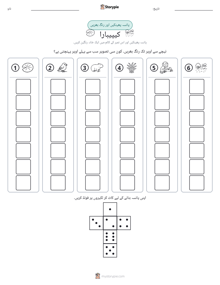 رول اور رنگ