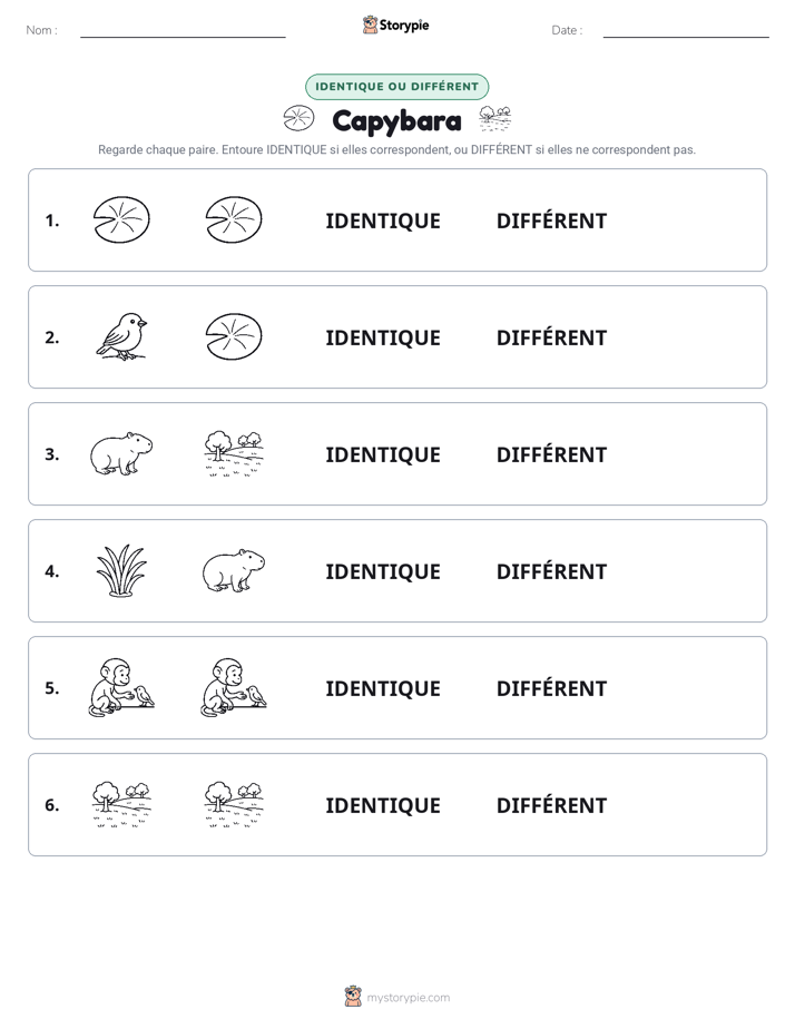 Identique ou Différent