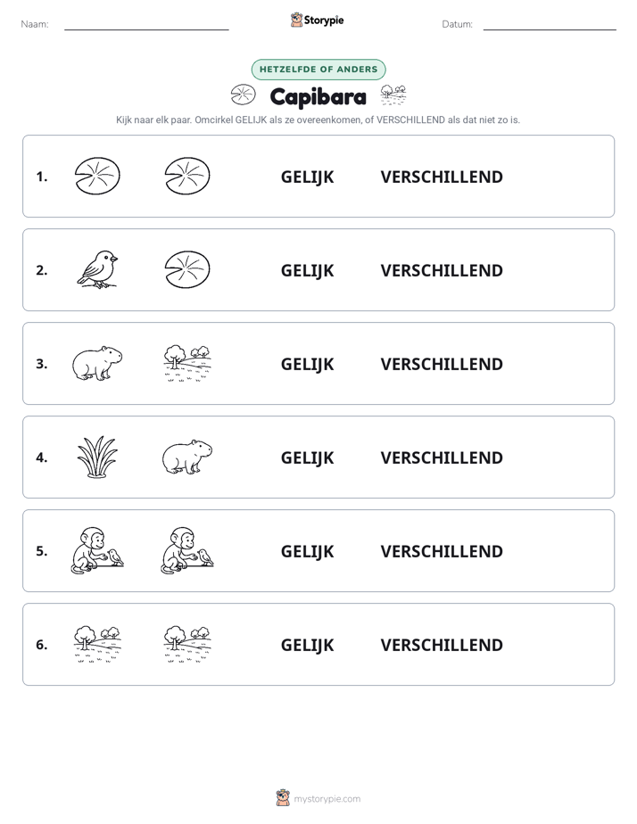 Zelfde of Verschillend