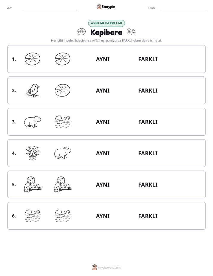 Aynı mı Farklı mı