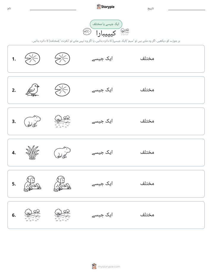 ایک جیسا یا مختلف