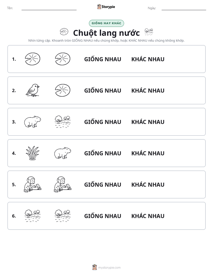 Giống Hay Khác