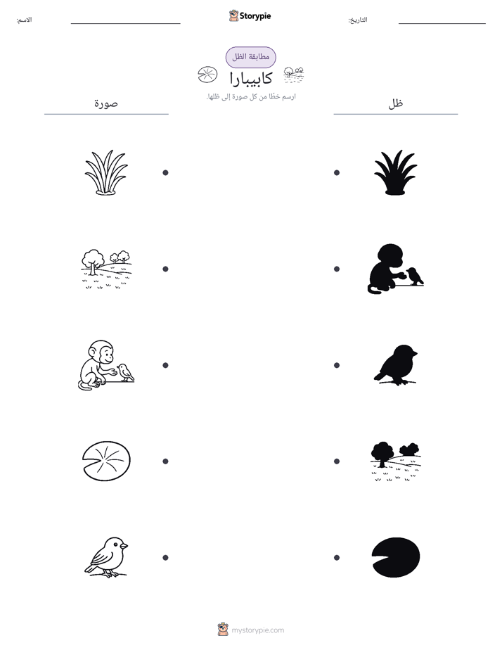 مطابقة الظل