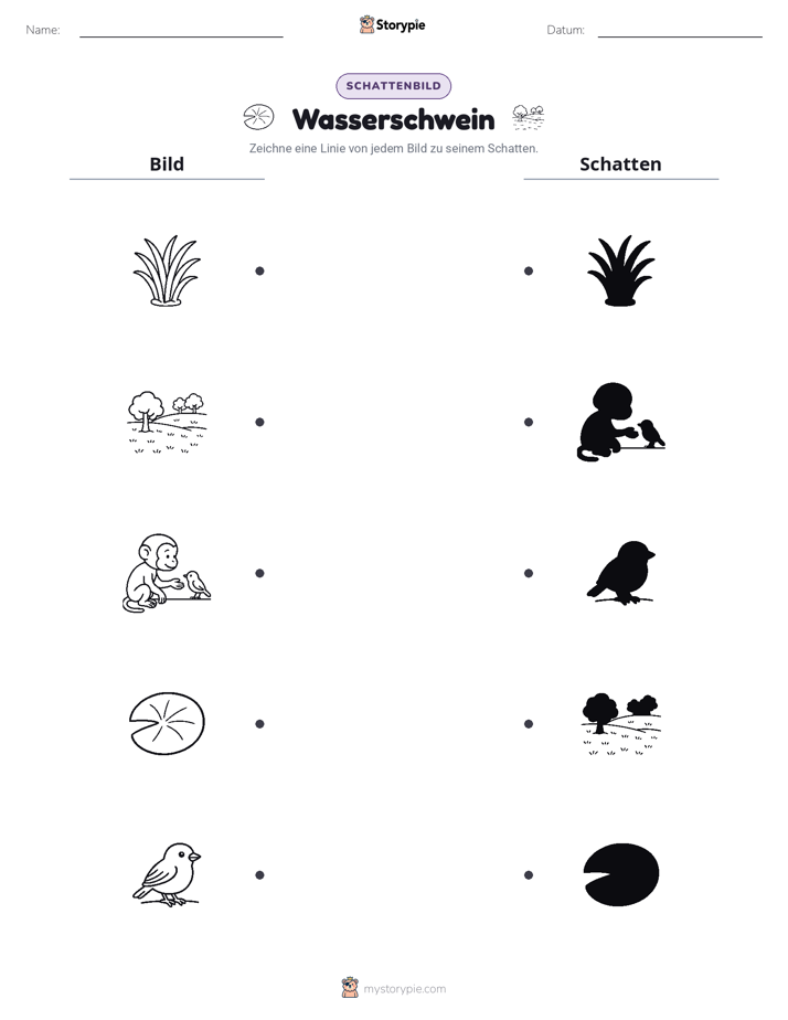 Schattenmatch