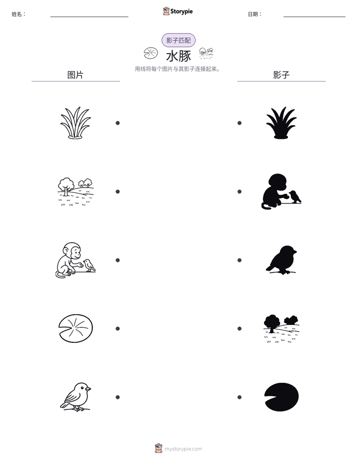 影子匹配