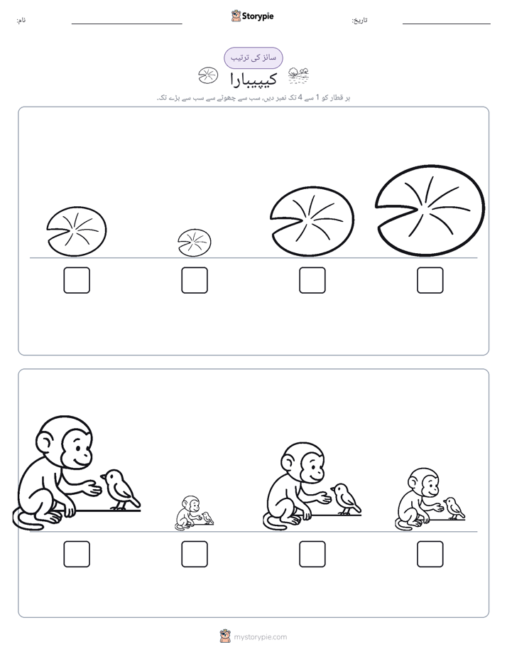 سائز کی ترتیب