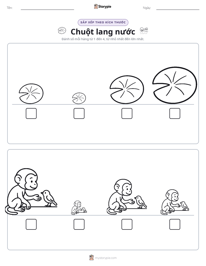 Thứ Tự Kích Thước