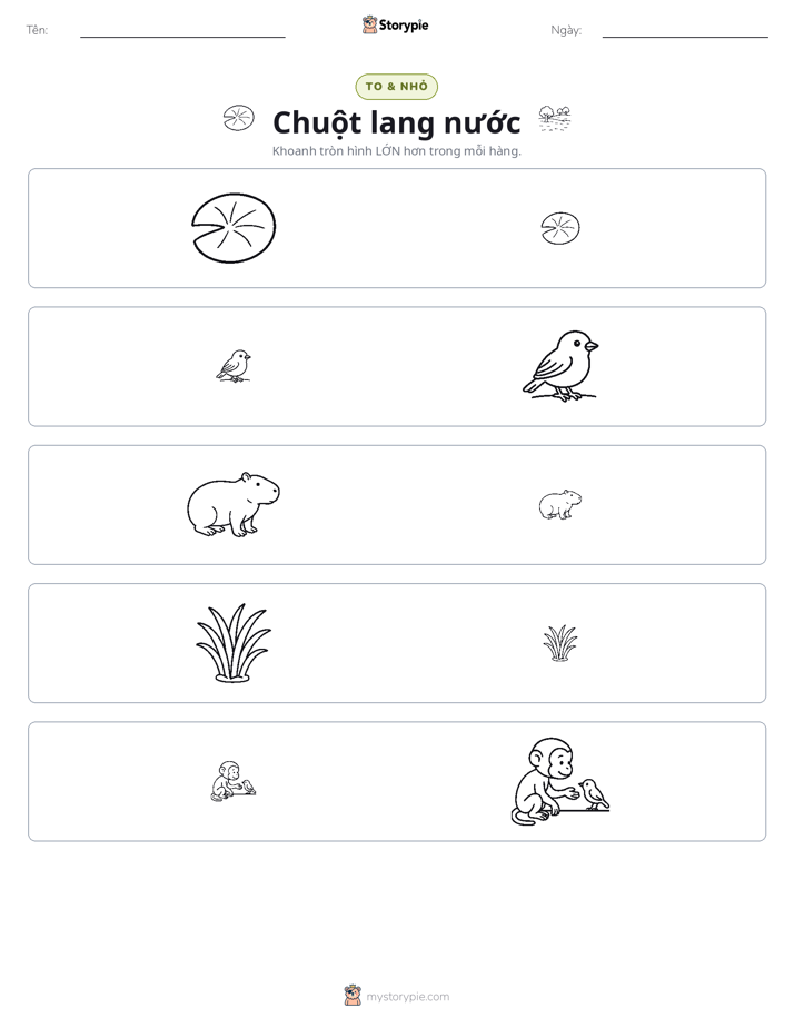 Phân Loại